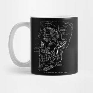 Anatomy Art Region Skull Mug